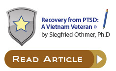 Recovery from PTSD: A Vietnam Veteran by Siegfried Othmer, Ph.D.